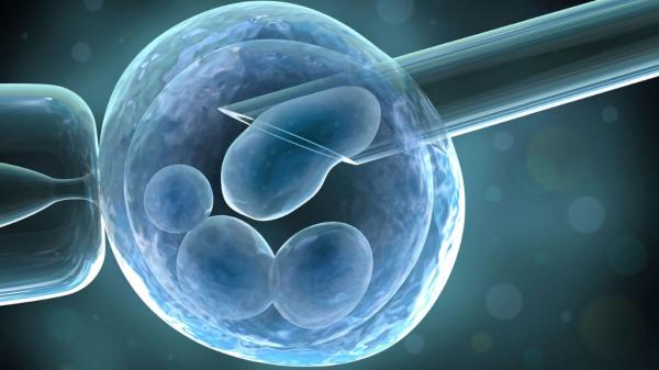 Embriyoda yapılabilen genetik testler nelerdir?